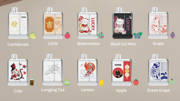 Song Songhe disposable electronic cigarettes