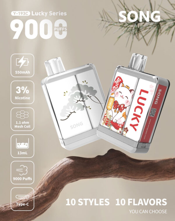 Song Songhe disposable electronic cigarettes